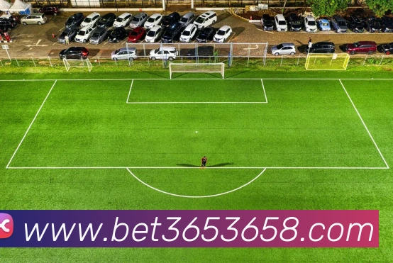 bet365中国官网发展历程